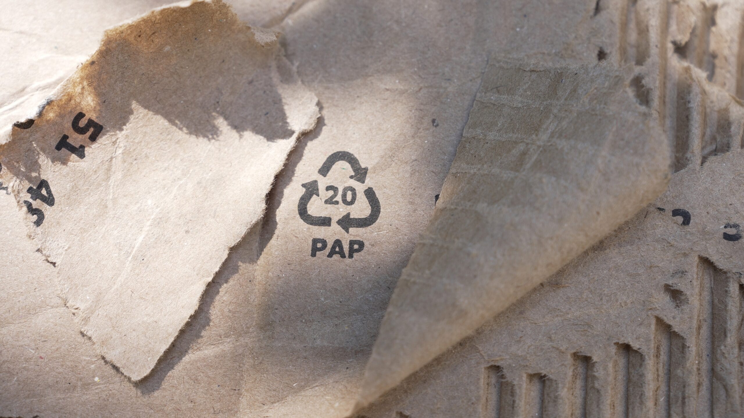 shutterstock 2659056223 scaled